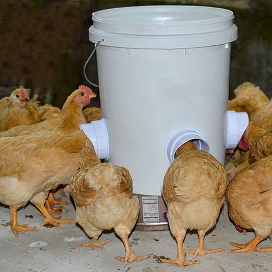 (🎁New Year Hot Sale-30% OFF)  DIY Chicken Feeder