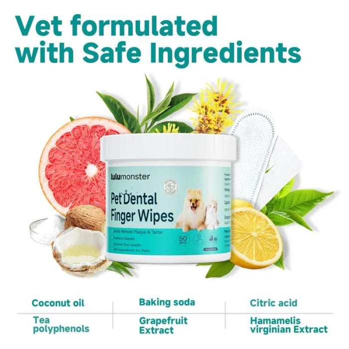 Dog & Cat Teeth Wipes 🐶🐱 Remove Plaque & Tartar 🦷 Freshen Breath 🌟 No-Rinse Toothbrush 🪥（50PCS） - INEUMALL